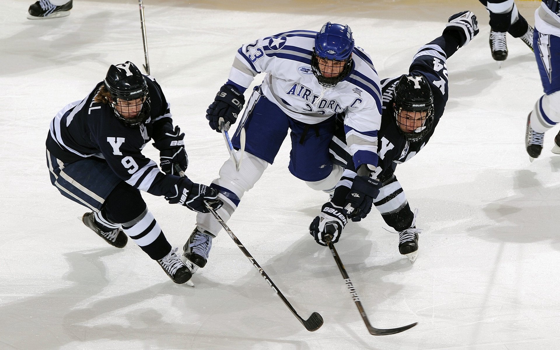 现场气氛火爆！球迷欢呼声不断，场面热烈！，球迷们非常激动